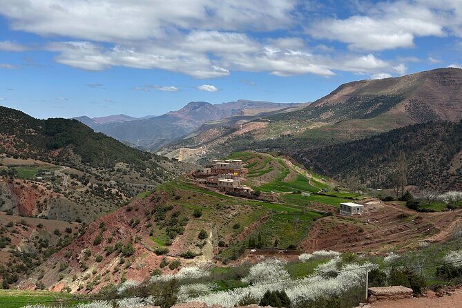 Full Day Atlas Mountains Private Day Tour From Marrakech - Who Should Consider This Tour?