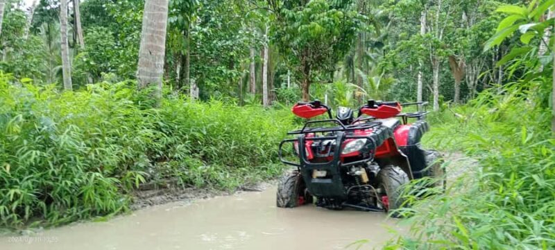 Full-Day ATV Khaolak Adventure with local Support - Key Points