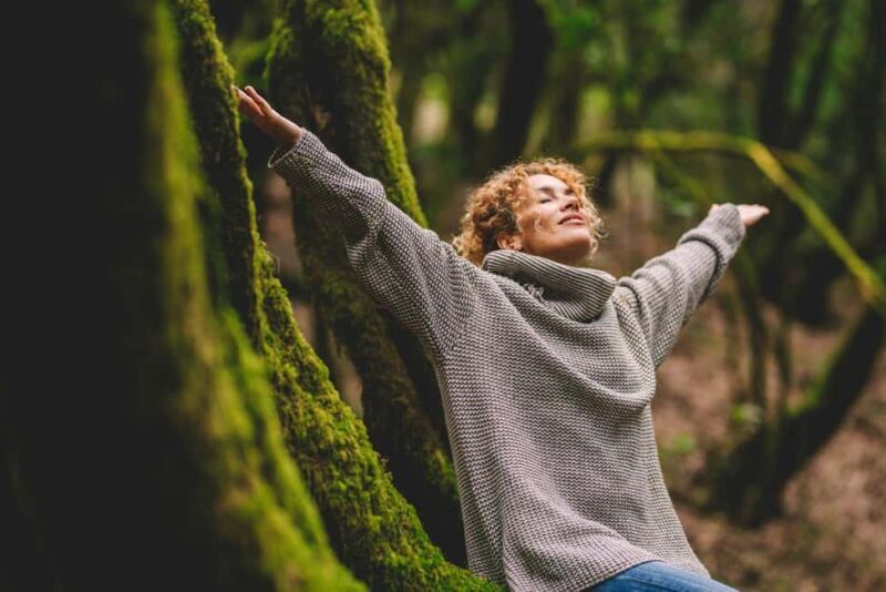 Full-day Auckland City & Rainforest Private Tour by Car - The Experience: What Travelers Can Expect on the Day  