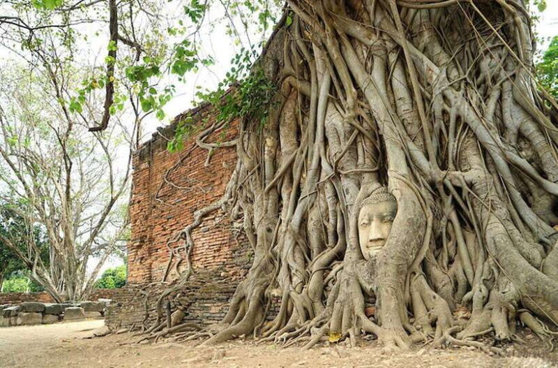 Full Day Ayutthaya Historical VIP Private Tour - FAQ