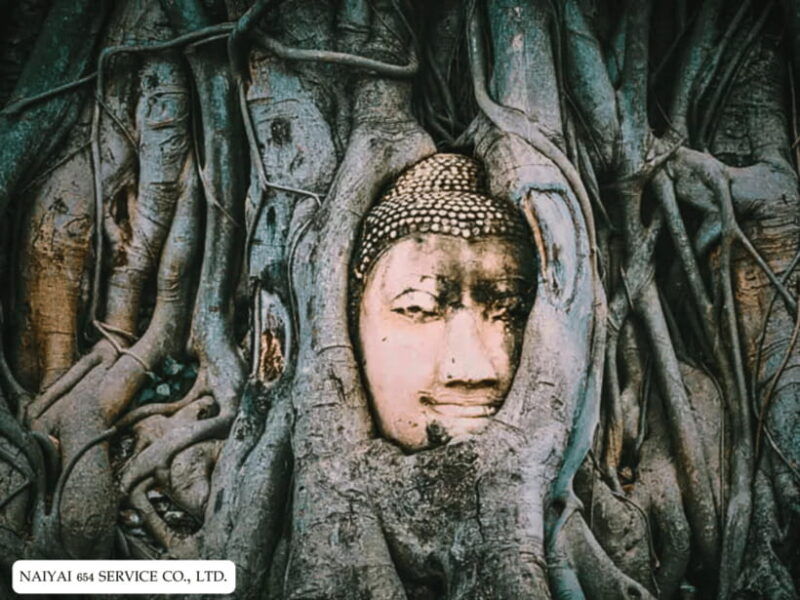 full-day-ayutthaya-wat-tha-ka-rong-floating-market