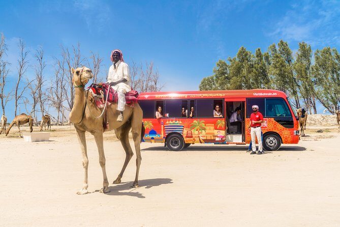 Full-Day Bahrain Guided Tour - A Complete Breakdown of the Itinerary