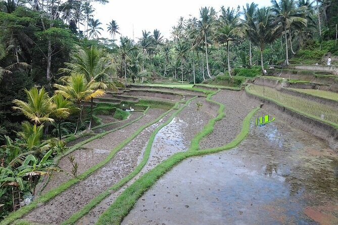 Full-Day Bali Island Tour Including Mt Batur And Sacred Monkey Forest Sanctuary - The Itinerary: A Day of Cultural and Natural Wonders