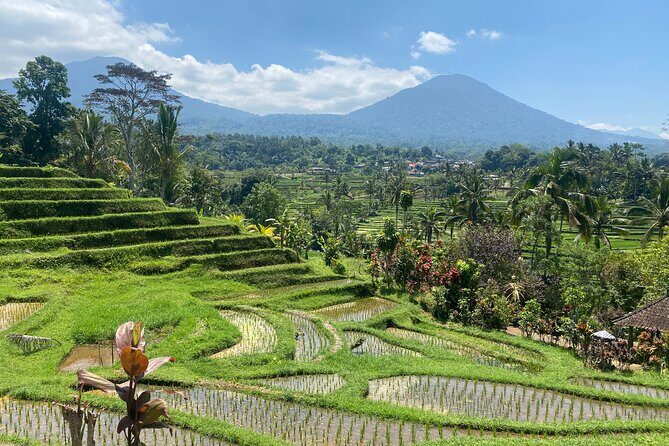 Full Day Bali Scooter Tour - Why This Tour Offers Great Value