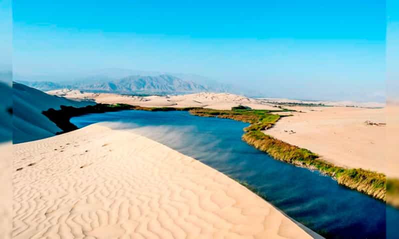 full-day-ballestas-islands-and-the-paracas-national-reserve-2