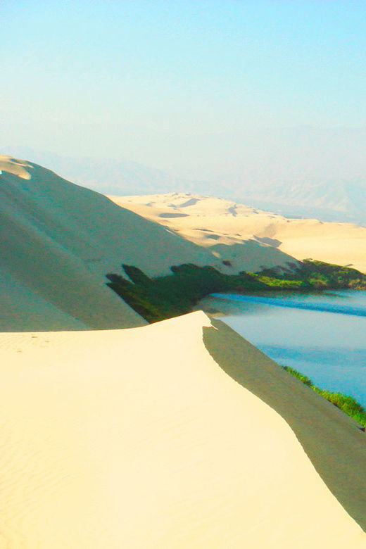 full-day-ballestas-islands-and-the-paracas-national-reserve-2