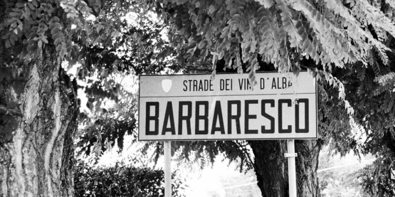 full-day-barbaresco-wine-tour-with-truffle-hunting-and-lunch