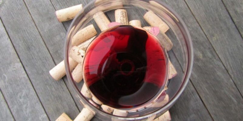 full-day-barbaresco-wine-tour-with-truffle-hunting-and-lunch
