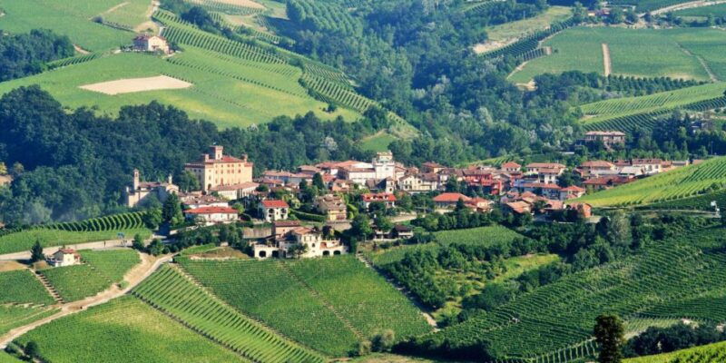 full-day-barbaresco-wine-tour-with-truffle-hunting-and-lunch