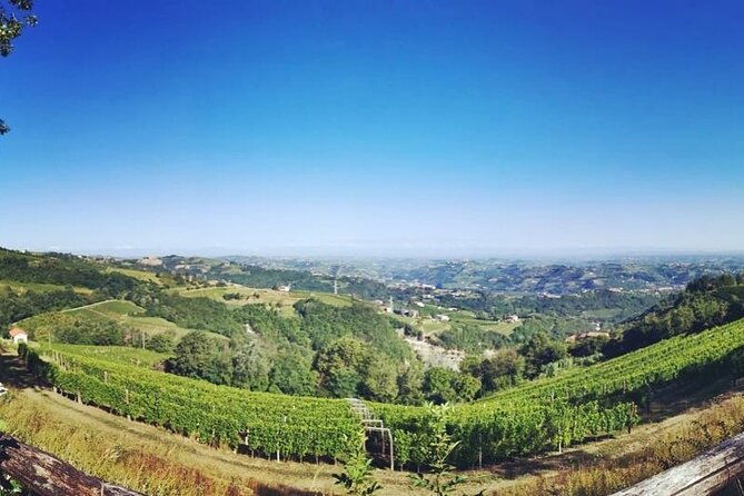 full-day-barolobarbaresco-wine-tour-from-milano-with-a-local-winemaker