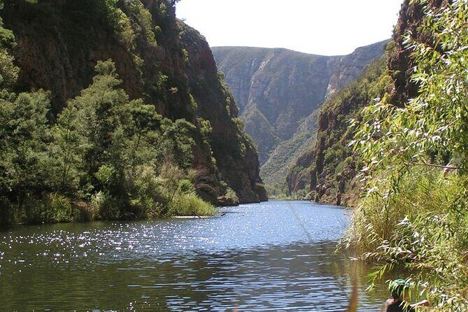 Full-Day Baviaanskloof Reserve - Who Should Consider This Experience?