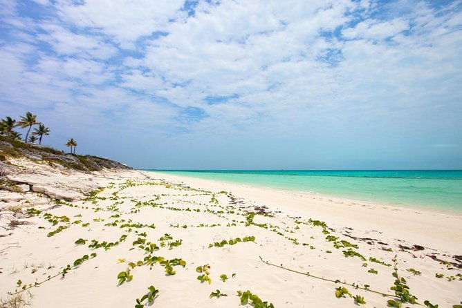 full-day-beach-bbq-lunch-snorkeling-excursion-in-grace-bay
