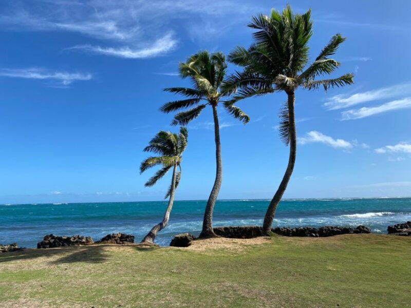 full-day-best-of-oahu-sightseeing-tour