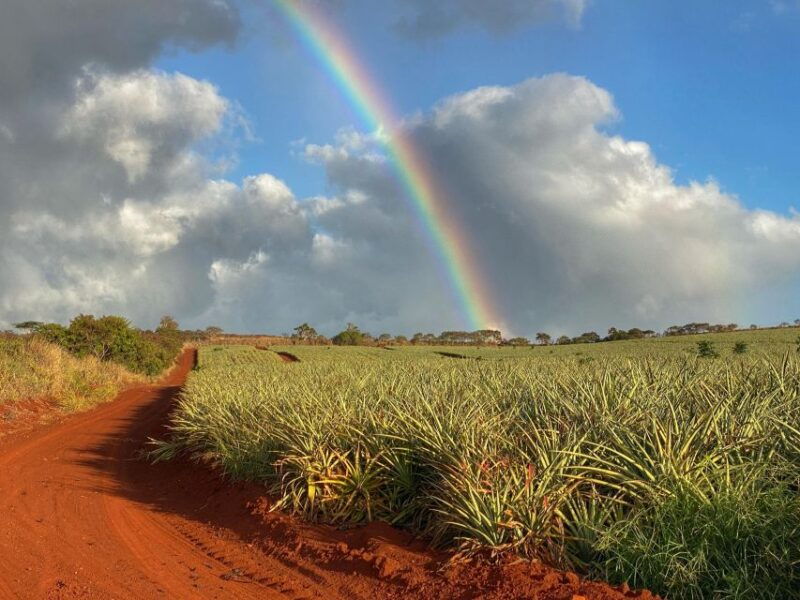 full-day-best-of-oahu-sightseeing-tour