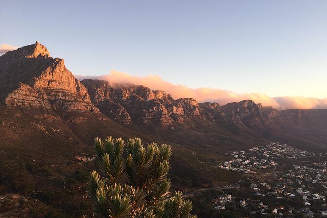 Full-Day Best of the Cape, Peninsula, Cape Point and Stellenbosch Tour - Authentic Experiences and Top Highlights