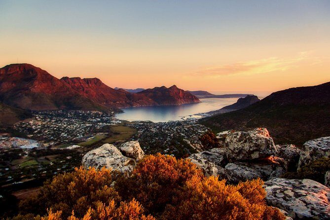 Full-Day Best of the Cape, Peninsula, Cape Point and Stellenbosch Tour - Final Thoughts