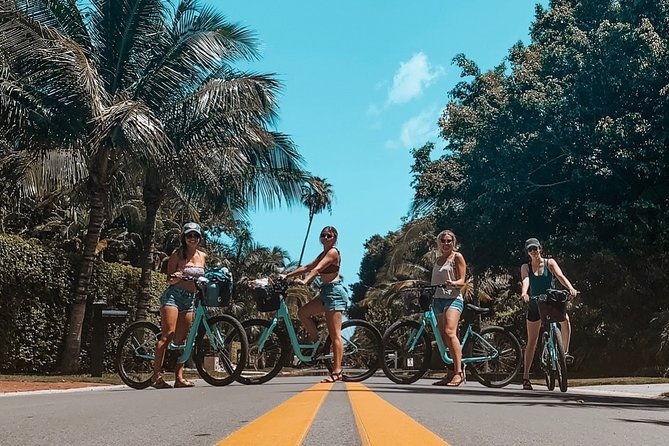 full-day-bicycle-rental