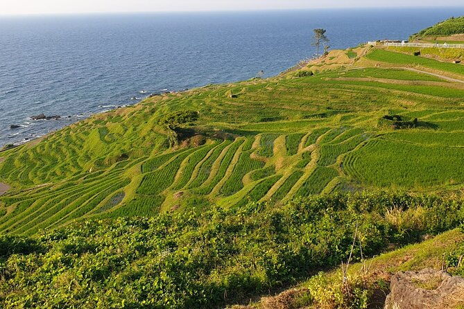full-day-bicycle-tour-on-the-noto-peninsula