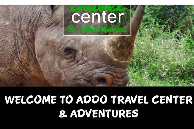 Full day big 5 addo Safari - Why This Tour Provides Good Value