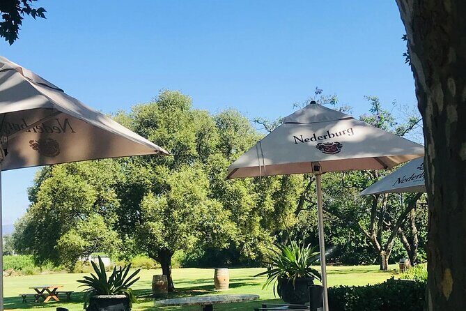 Full Day BIG 5 Private Tour of the Aquila Game and Wine testing - Final Thoughts