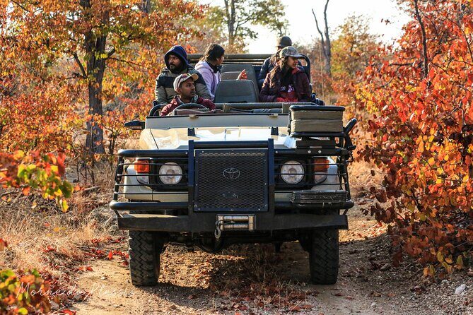 Full-Day Big 5 Safari from Hazyview - Itinerary Breakdown: What to Expect