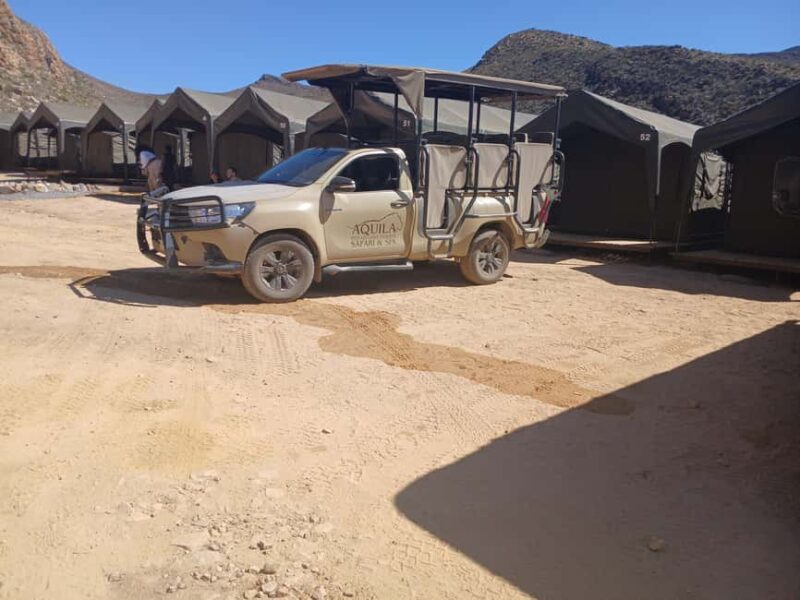 Full day big five safari tour from Cape Town with transfers - Key Points