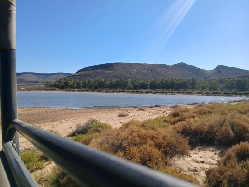 Full day big five safari tour from Cape Town with transfers - A Closer Look at the Full-Day Safari Experience