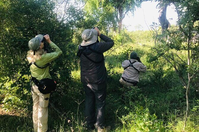 Full Day Birding Zambezi National Park Includes Picnic Lunch - Key Points