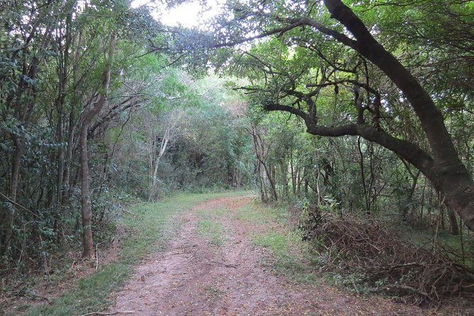 full-day-birdwatching-and-nature-tour