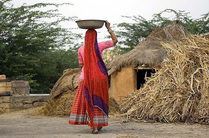 Full-Day Bishnoi Village Safari - Authentic Insights from Reviews