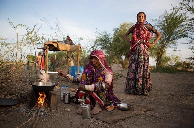 Full-Day Bishnoi Village Safari - The Sum Up: Who Should Consider This Tour?