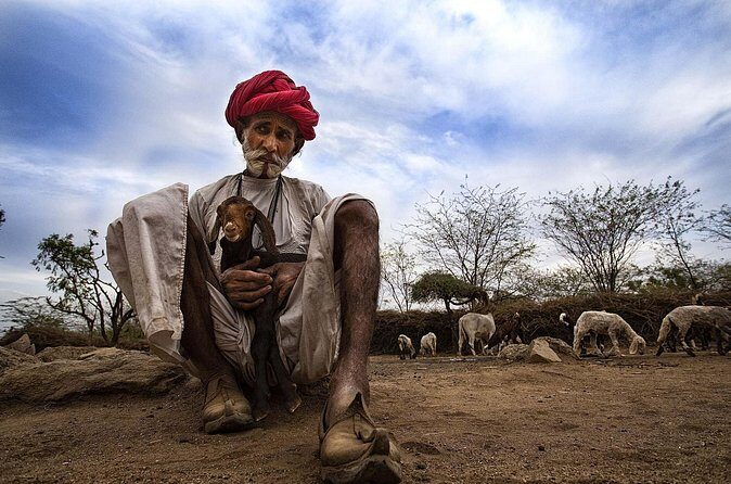 Full-Day Bishnoi Village Safari - FAQ