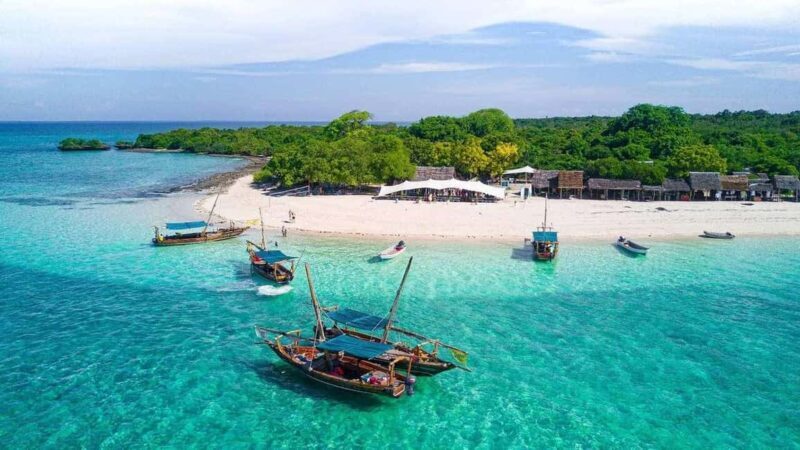 Full-Day Blue Lagoon & Sandbank from Zanzibar (Safari blue) - Key Points