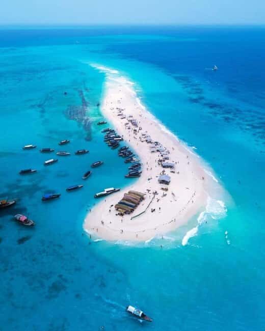 Full-Day Blue Lagoon & Sandbank from Zanzibar (Safari blue) - The Sum Up: Is It Worth It?