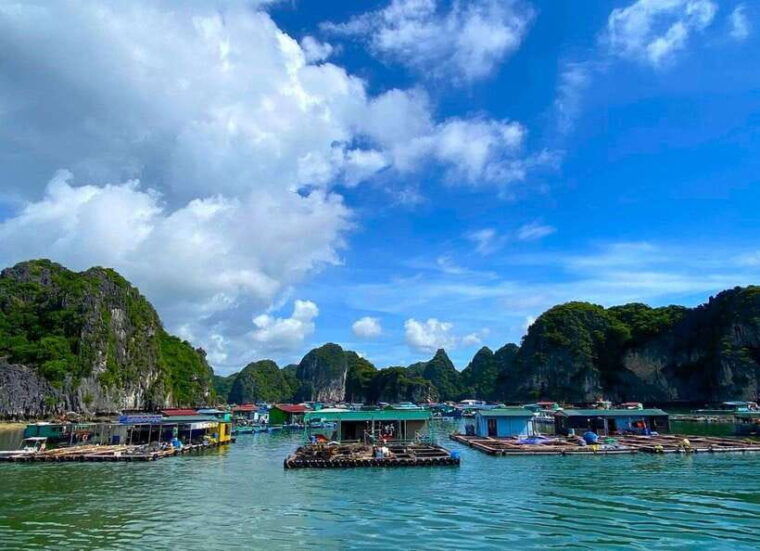 full-day-boat-tour-explore-cat-ba-archipelago-lan-ha-bay