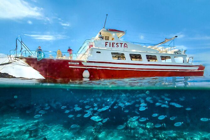 Full day boat tour transfers & lunch included - Who Will Love This Tour?