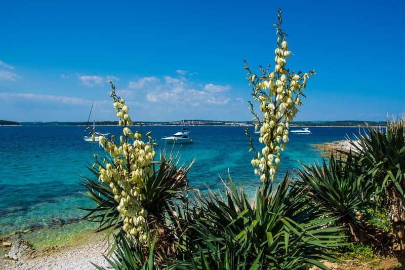 Full-Day Boat Trip, Cave Swim, lunch & Drinks - Medulin/Ceja - Practical Details and What to Expect