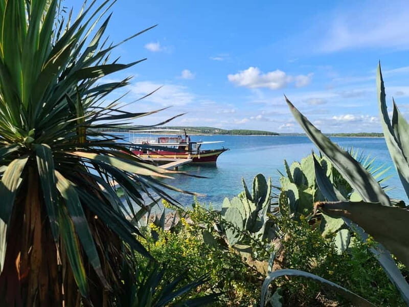 Full-Day Boat Trip, Cave Swim, lunch & Drinks - Medulin/Ceja - Frequently Asked Questions