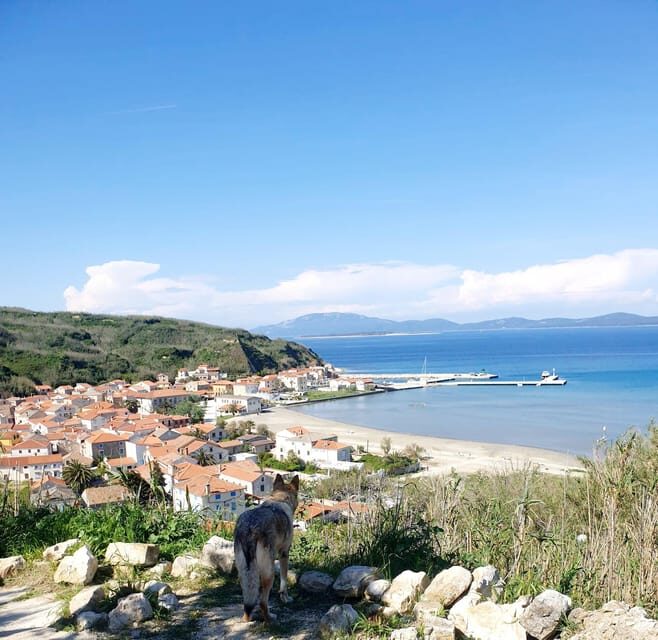 Full day boat-trip Medulin, blue Cave, Cres + dolphin search - The Realities of the Blue Cave & Cres Experience