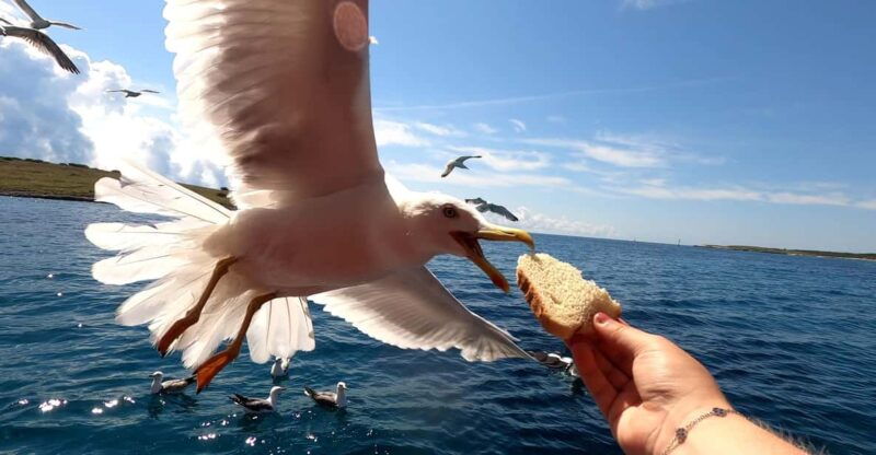 full-day-boat-trip-medulin-unije-susak-with-breakfast-lunch