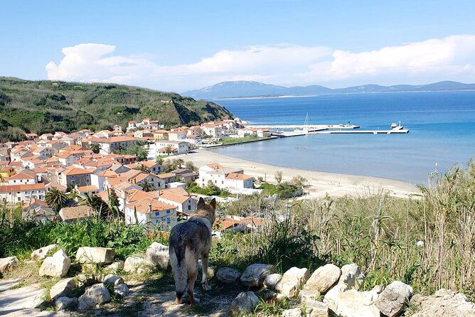 full-day-boat-trip-medulin-unije-susak-with-lunch-and-breakfast