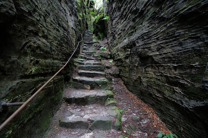 full-day-bohemia-tour-tisa-rocks-bastei-brewery-beer-tasting