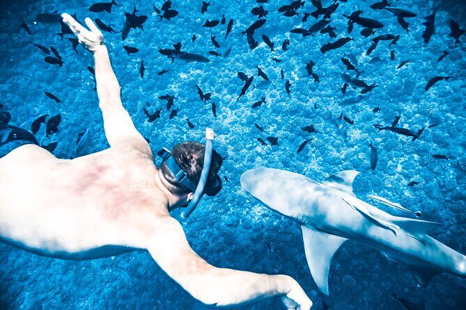 Full-Day Bora Bora Lagoon Cruise Including Snorkeling with Sharks and Stingrays - FAQ