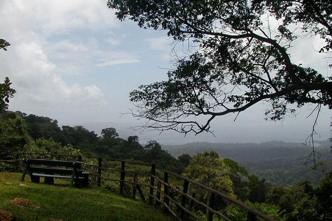 full-day-brownsberg-nature-park-tour