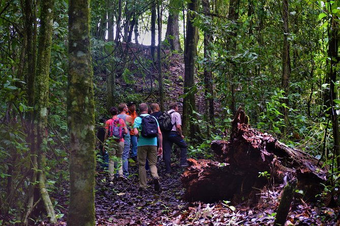 full-day-brownsberg-nature-park-tour