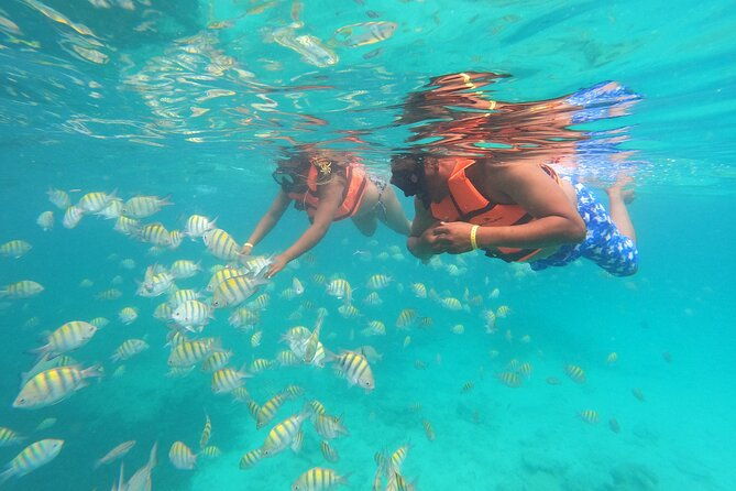 full-day-buggy-experience-and-snorkeling-cruise-with-open-bar