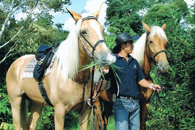 Full-Day Bukit Tinggi French Village Tour - The Sum Up