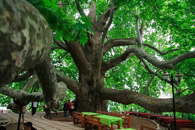 full-day-bursa-tour-from-istanbulwith-cable-car