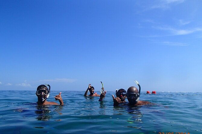 full-day-cahuita-snorkel-and-sloth-sanctuary-from-puerto-viejo-de-limon