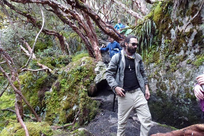 full-day-cajas-n-park-and-cuenca-citytour